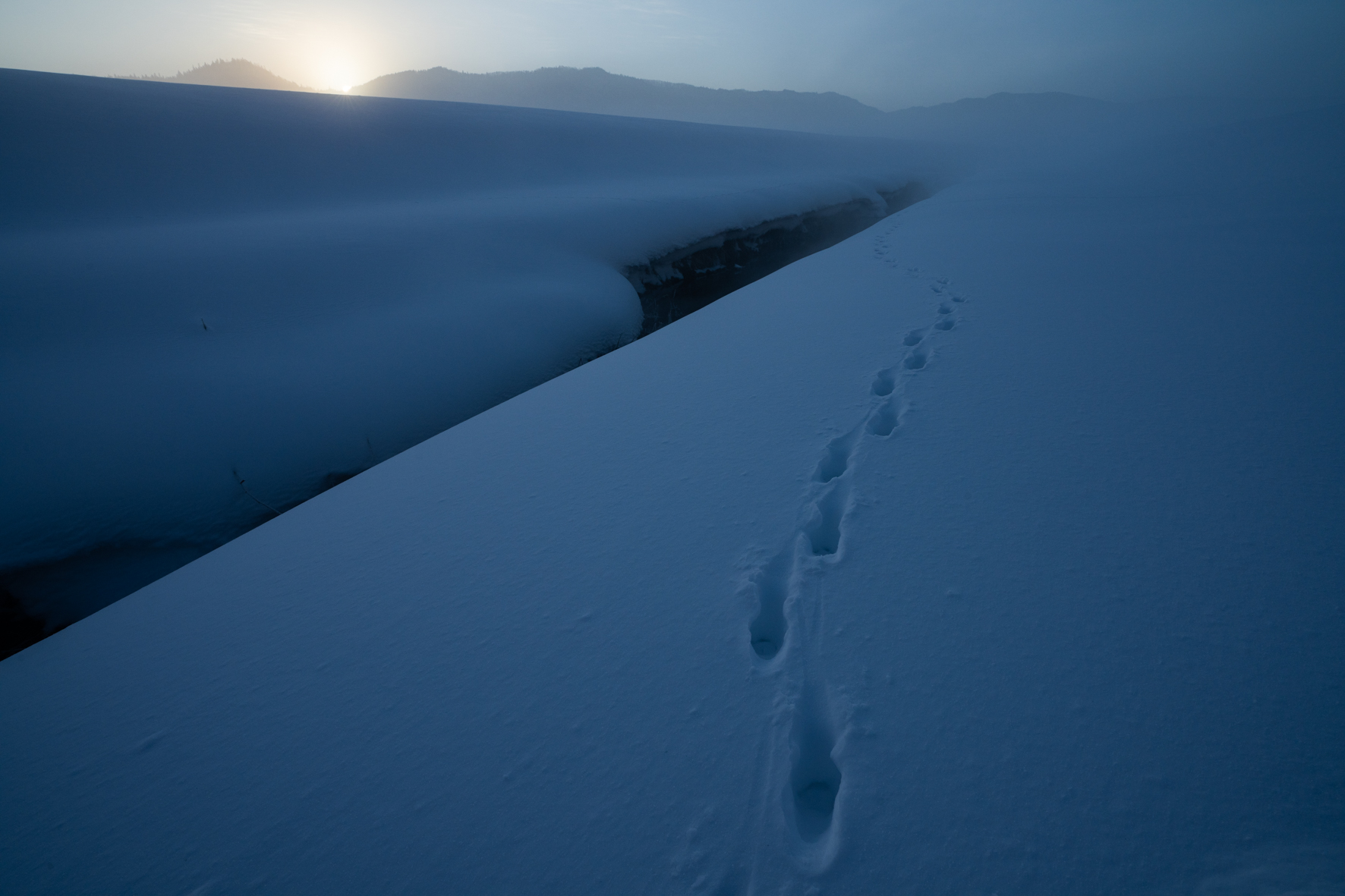 雪原の散歩道